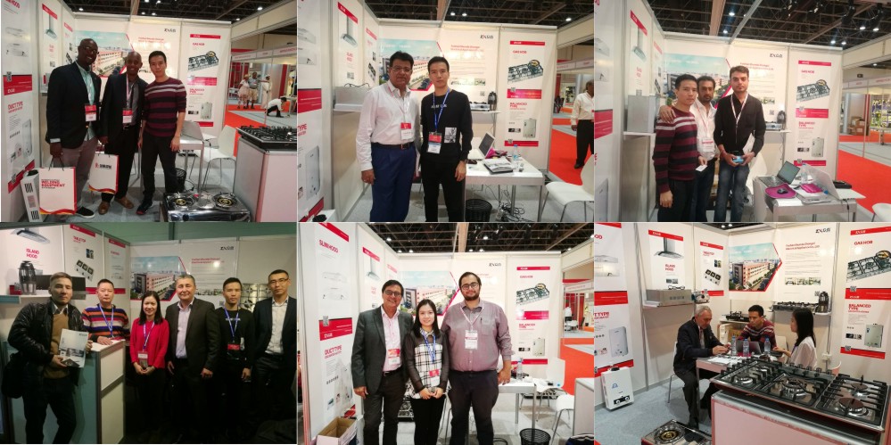 gas water heater parts gas water heater pulse generator