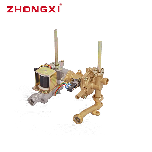 Balanced exhaust Gas Water Heater Balanced Type Instant Hot Water Gas Geyser 220V Big Suction Gas Water Heater