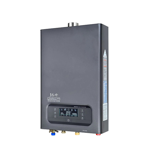 Balanced exhaust Gas Water Heater Balanced Type Instant Hot Water Gas Geyser 220V Big Suction Gas Water Heater