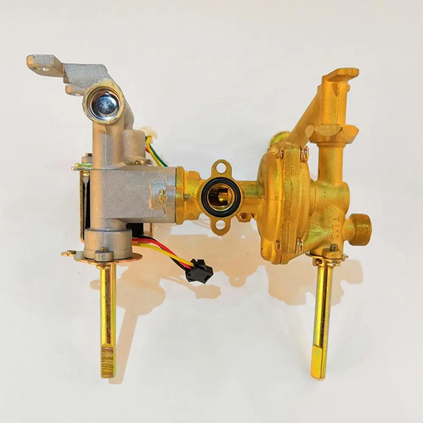 Digital Constant Type Water Heater Home appliance Stainless Steel NG Gas Water Heater Constant Temperature LPG Gas Geyser