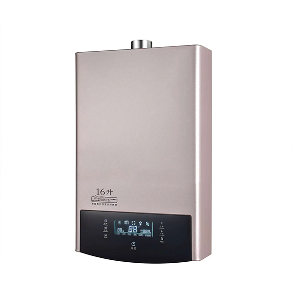 Malaysia hot sale household instant gas water heater 8L Tankless Hot Water Heater Wall Mounted Domestic 12L Gas Geyser