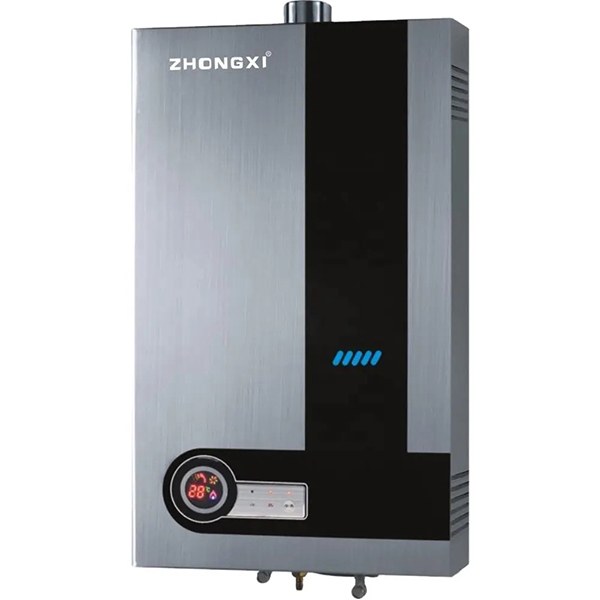 calentador de agua a gas Wall Mounted Hotel Bathroom Gaz Gas Water Heater Tankless Instant LPG Water Heater Domestic NG Geyrser