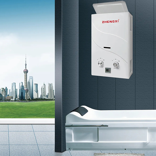 calentador de agua a gas Wall Mounted Hotel Bathroom Gaz Gas Water Heater Tankless Instant LPG Water Heater Domestic NG Geyrser